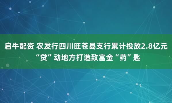 启牛配资 农发行四川旺苍县支行累计投放2.8亿元 “贷”动地方打造致富金“药”匙