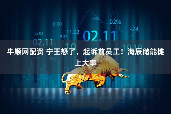 牛顺网配资 宁王怒了，起诉前员工！海辰储能摊上大事